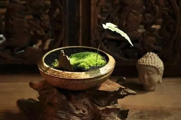 吃虧養德，忍耐養心