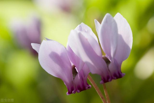你的人生，需要有兩種準備，才能算是成功
