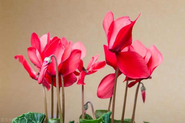 你的人生，需要有兩種準備，才能算是成功