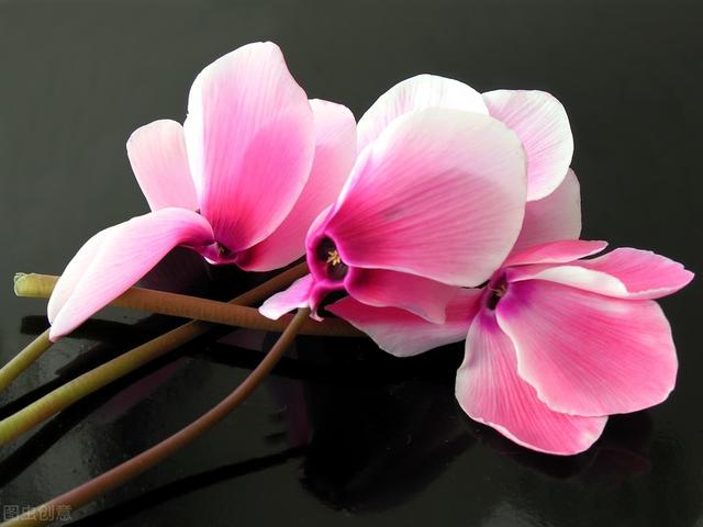 你的人生，需要有兩種準備，才能算是成功