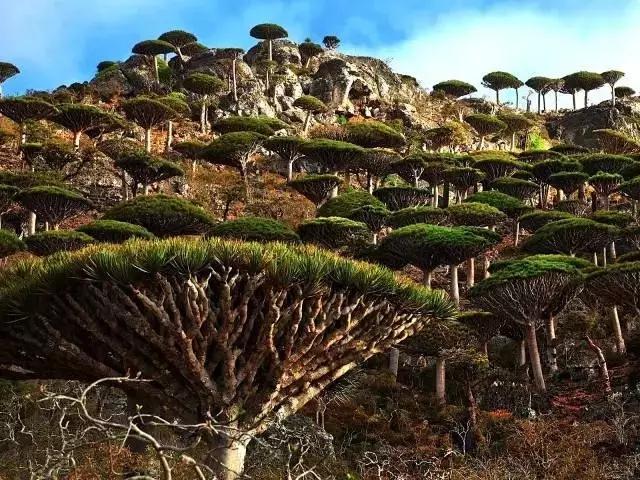 世界那麼大，地球那麼美，總有一些震撼的美景