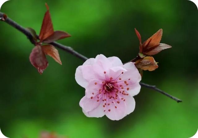 日復一日，年復一年，你變了嗎