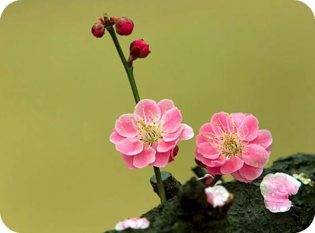 日復一日，年復一年，你變了嗎