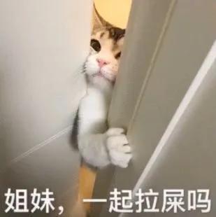 偷看了100隻貓咪上廁所後,我被這些迷惑姿勢騷斷了腿