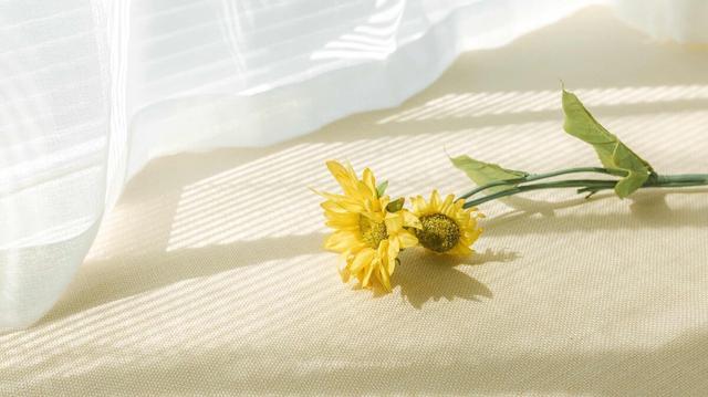 誰說養大別人孩子終是空? 再婚20年,老伴走後,繼子卻說給我養老