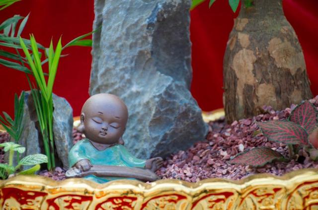 佛說：去留由天，一切隨緣