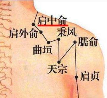 戴耳環、項鍊只是為了好看? 專家:正確佩戴能養生