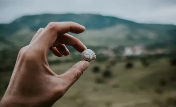 爭來爭去，爭什麼？ 人永遠爭不過天