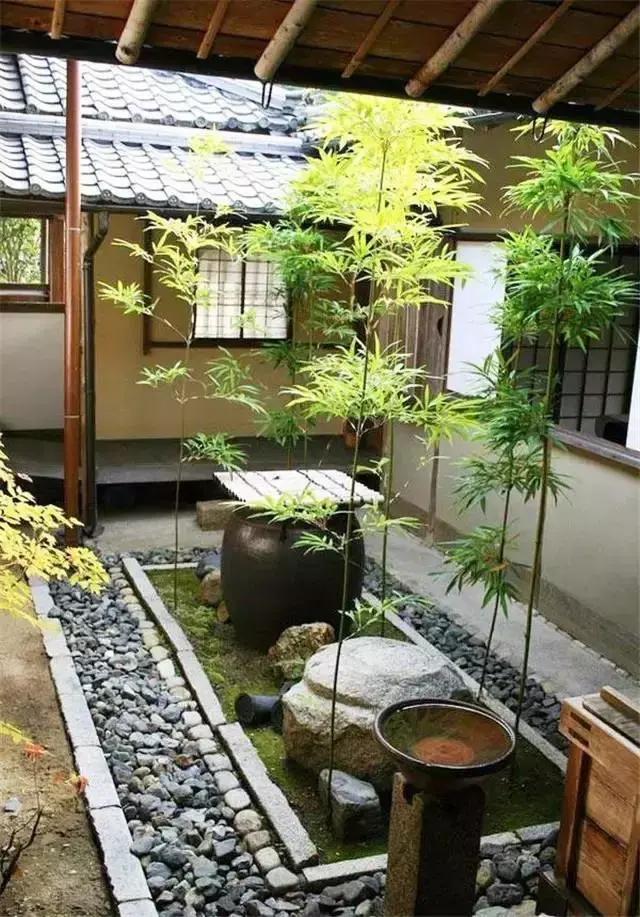 改造設計這麼美的庭院,真想住到地老天荒