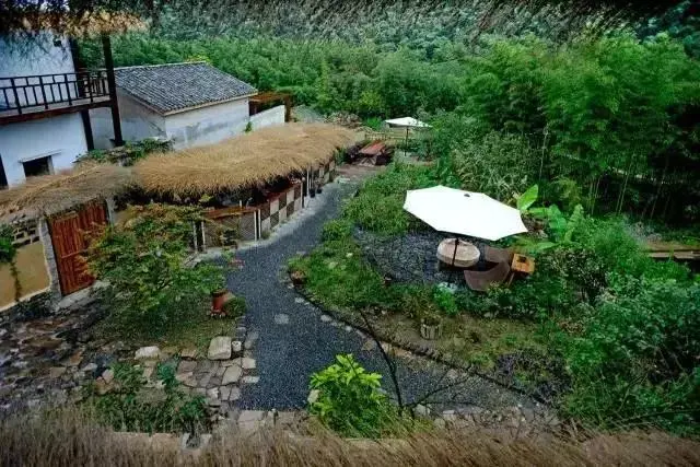 趁年輕一起去鄉下建座房子，造個院子，過想要的詩和遠方