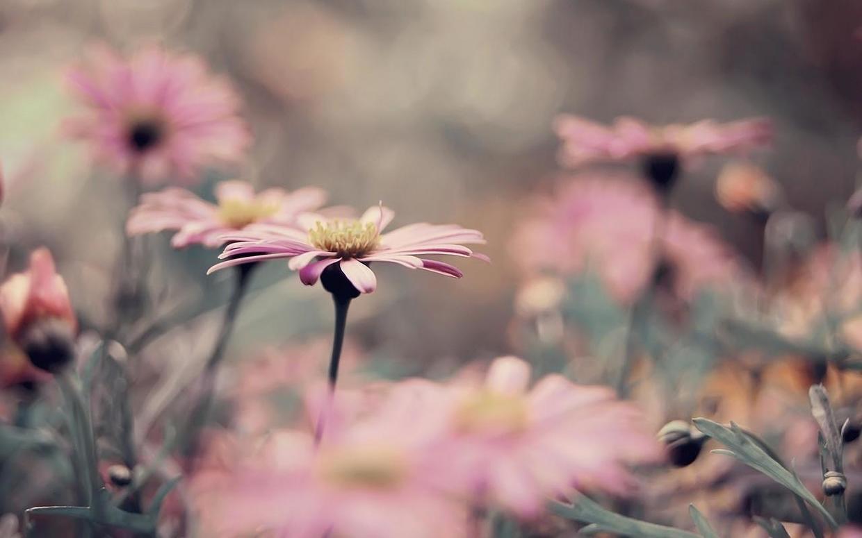 外人看摩羯真的難搞,摩羯在愛情中為何命運多舛?