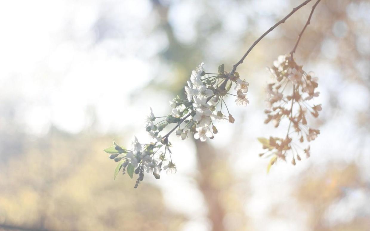 外人看摩羯真的難搞,摩羯在愛情中為何命運多舛?