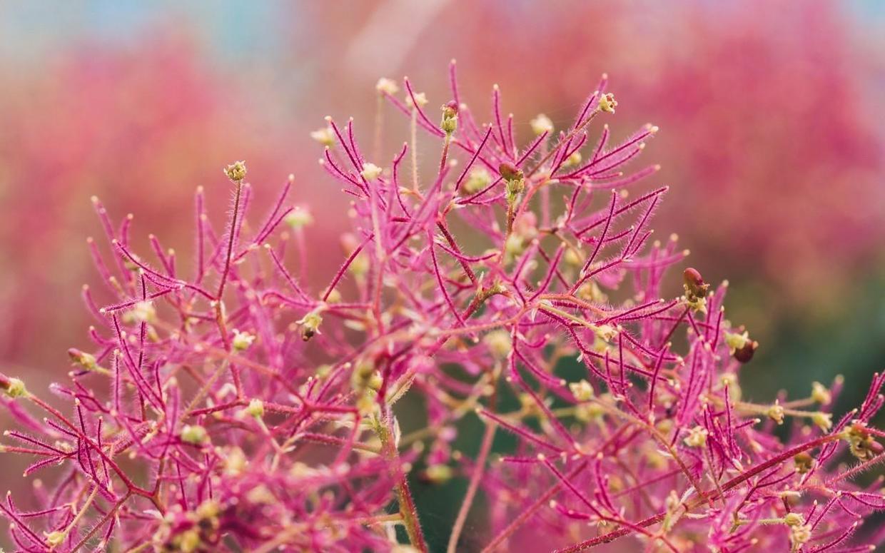 外人看摩羯真的難搞,摩羯在愛情中為何命運多舛?