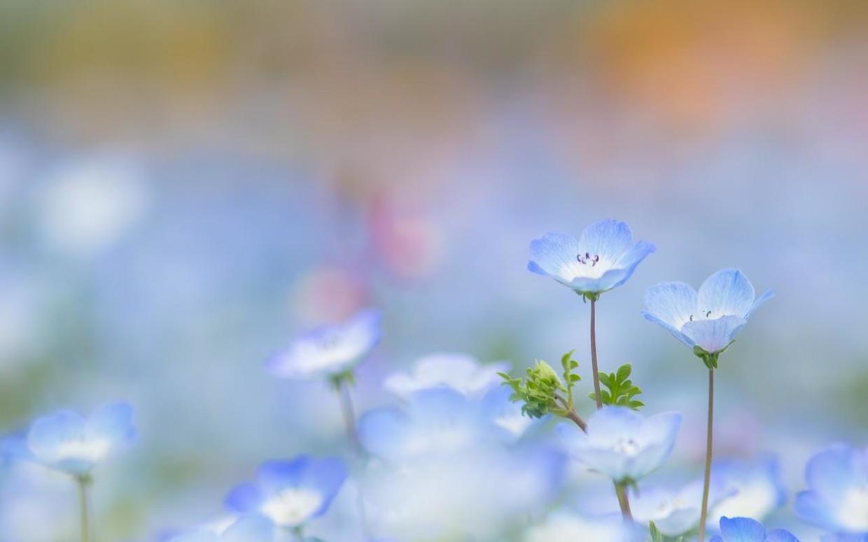 外人看摩羯真的難搞,摩羯在愛情中為何命運多舛?