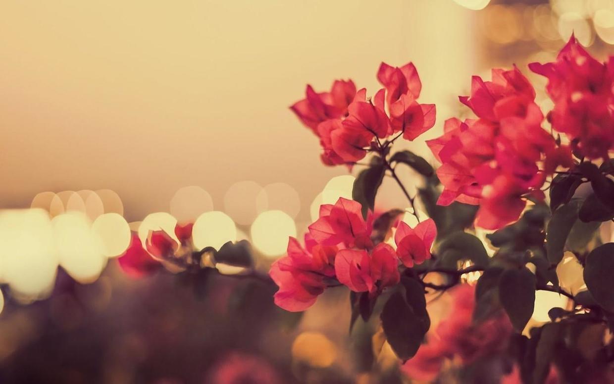 外人看摩羯真的難搞,摩羯在愛情中為何命運多舛?