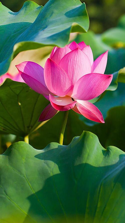 一个眼神就能将人看透，这几个星座就有这种本事，你身边有吗