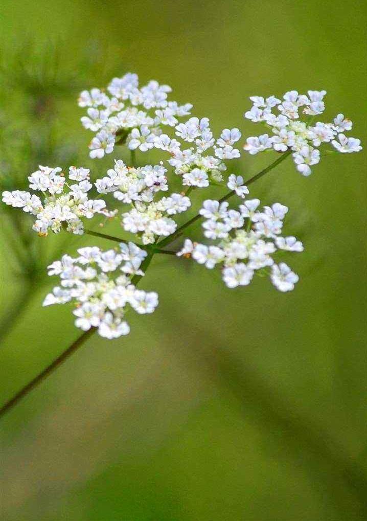 一个眼神就能将人看透，这几个星座就有这种本事，你身边有吗