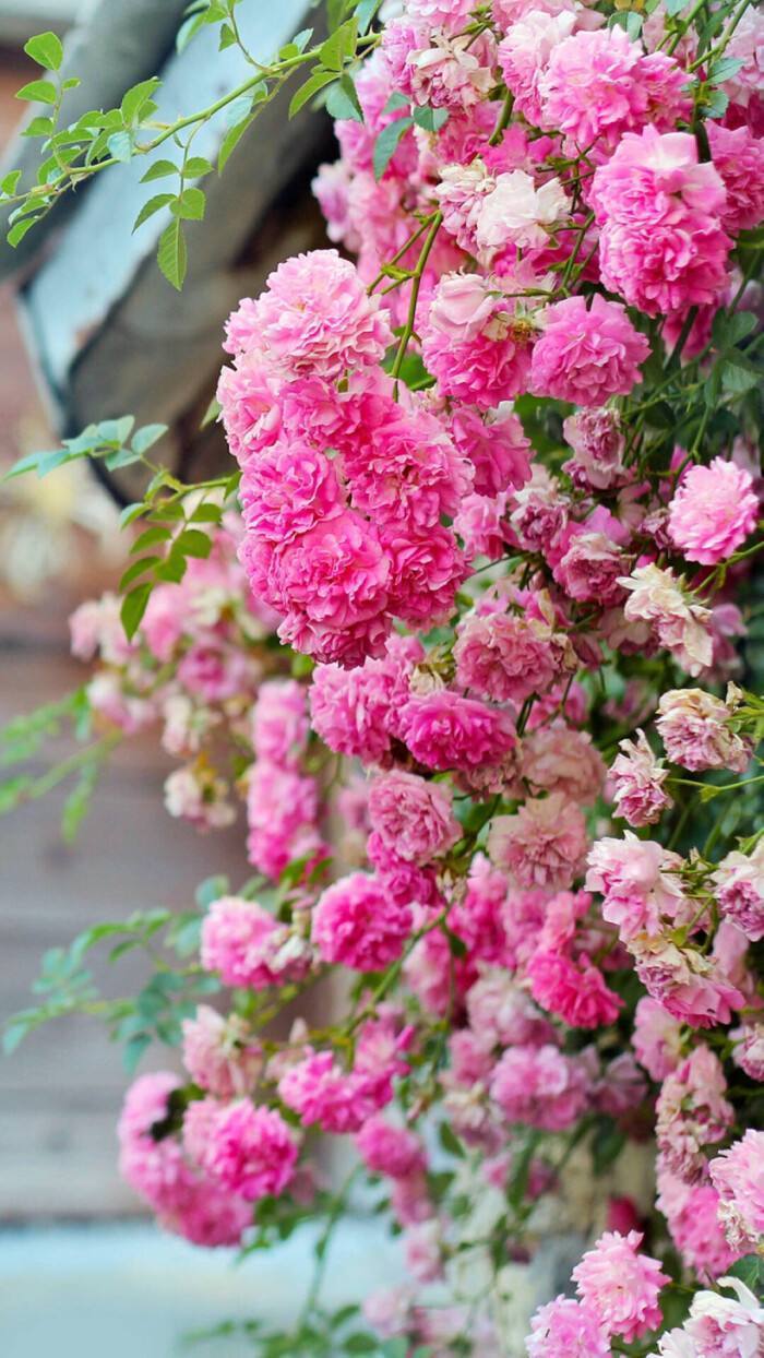 一个眼神就能将人看透，这几个星座就有这种本事，你身边有吗