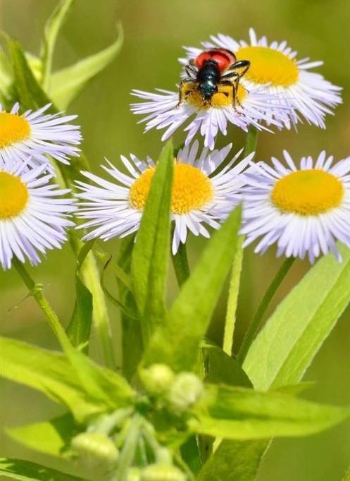 一个眼神就能将人看透，这几个星座就有这种本事，你身边有吗