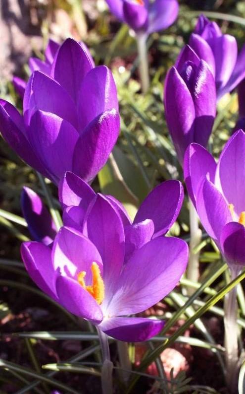 一个眼神就能将人看透，这几个星座就有这种本事，你身边有吗