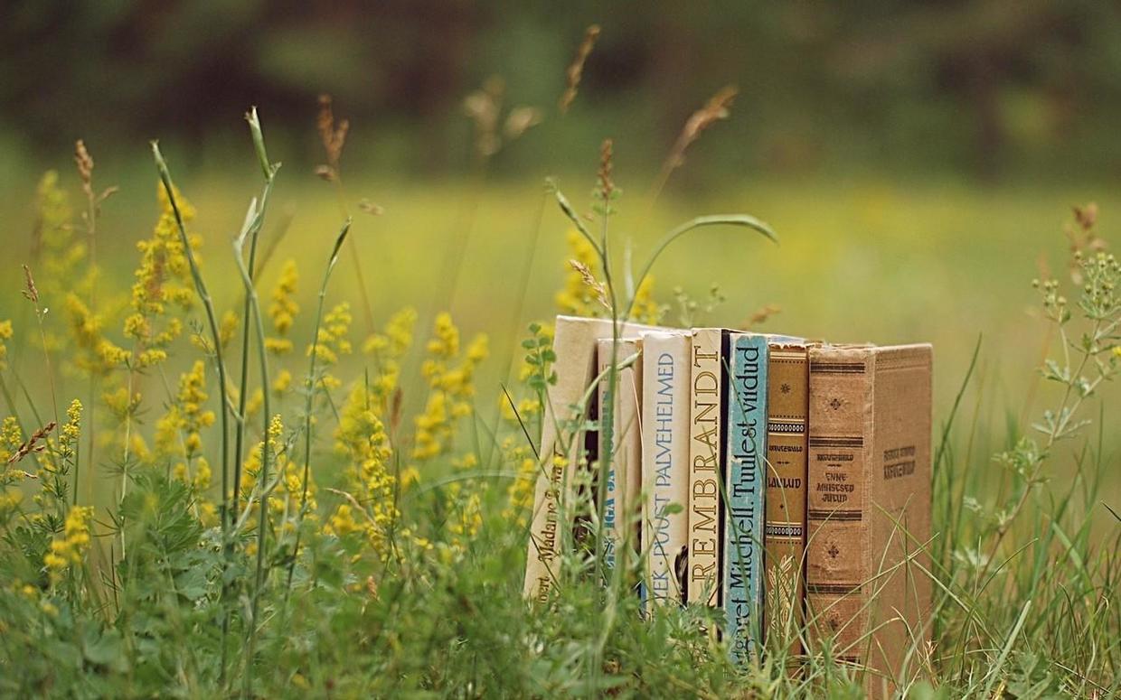 九月份真神奇,這幾個星座將會與舊愛重逢,或許就是下個路口