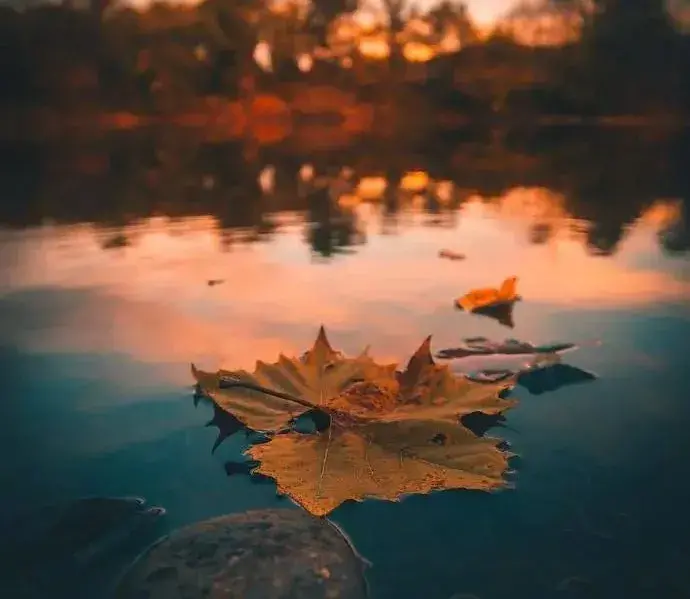 沒人扶的時候，自己站直
