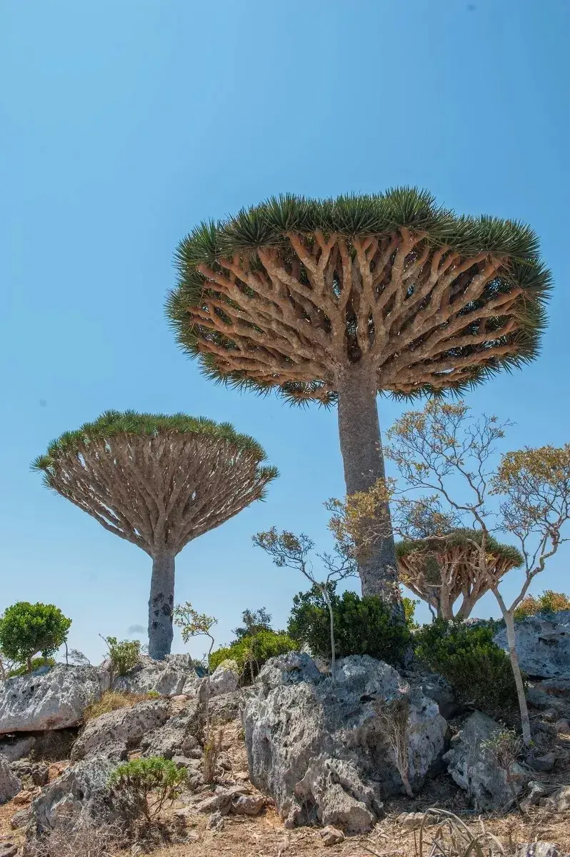 世界美景，看完你就驚呆了