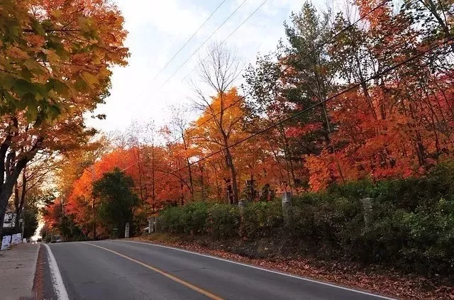 加拿大的秋天