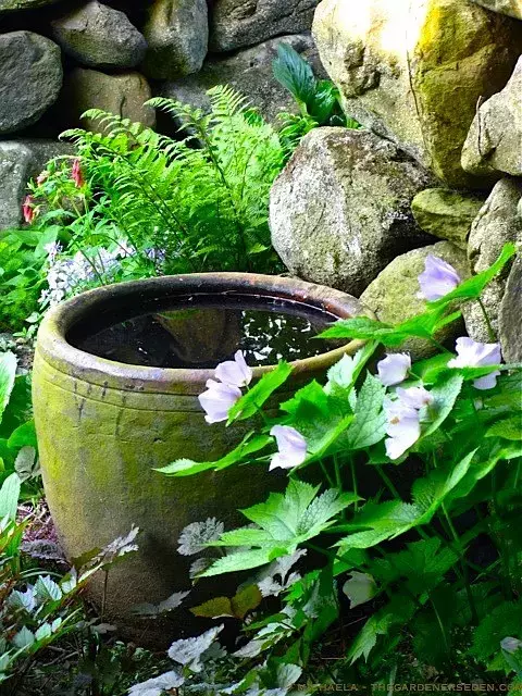 有個院子真好,種上瓜果蔬菜