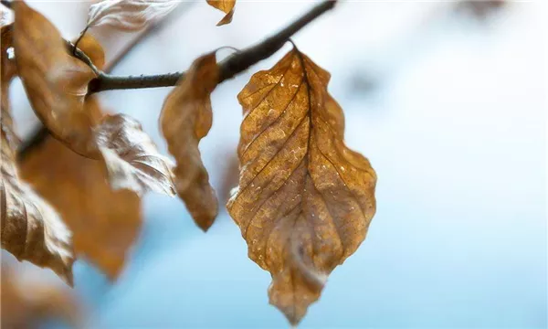 人活著，這樣挺好