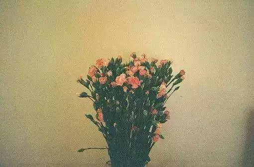 人不能慣，情不能盼