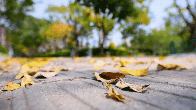 人到中年，當你學會“拒絕”這幾件事，就是真的活明白了