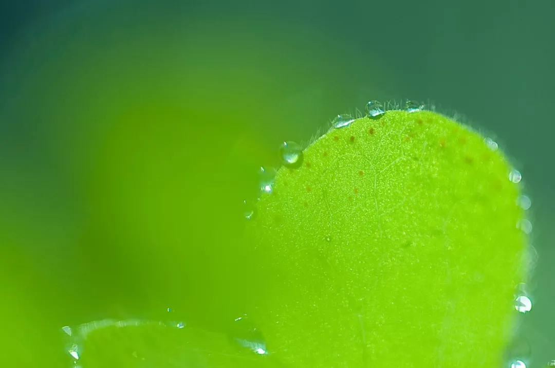 常懷快樂心，做個快樂人