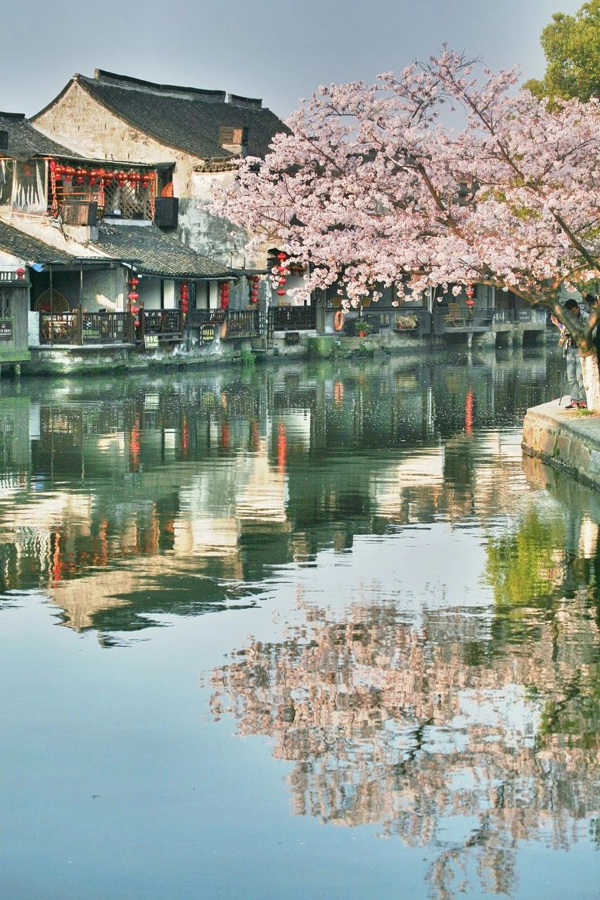 中國最美的50個地方，此生必去，你目前去過幾個？
