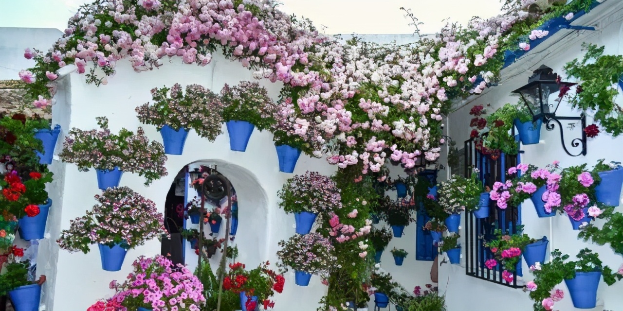 建一座花園小院兒，從此不理塵囂，只顧田園