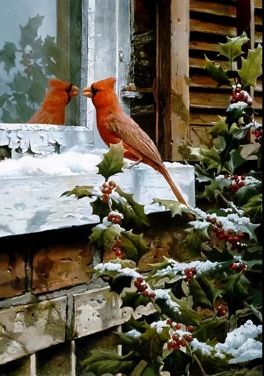 雪中​​精靈！ 太美了