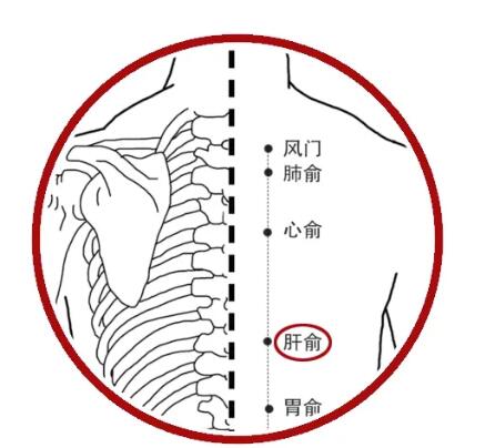 養肝不花錢! 常按4穴,肝氣順了、睡眠香了,濕氣也悄悄溜走