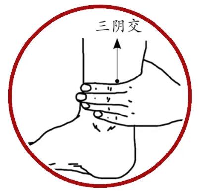養肝不花錢! 常按4穴,肝氣順了、睡眠香了,濕氣也悄悄溜走
