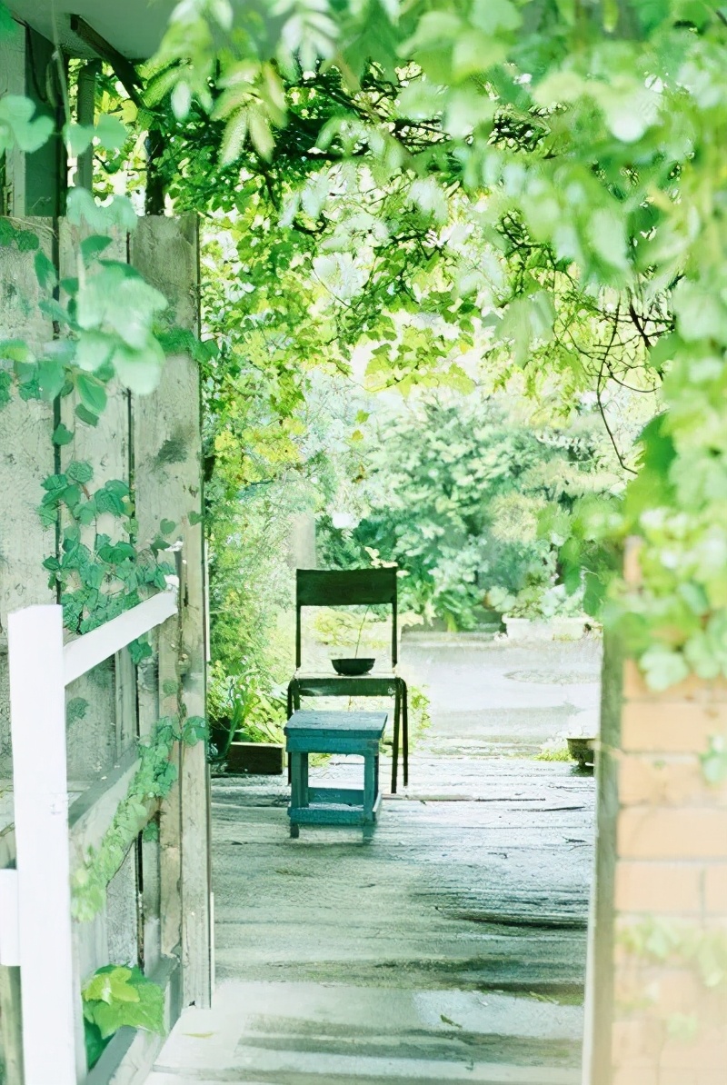 我想有個院子，繁花爬滿籬笆