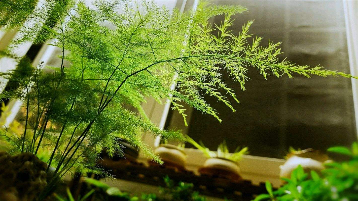 人脈越廣,越要認清以下三種