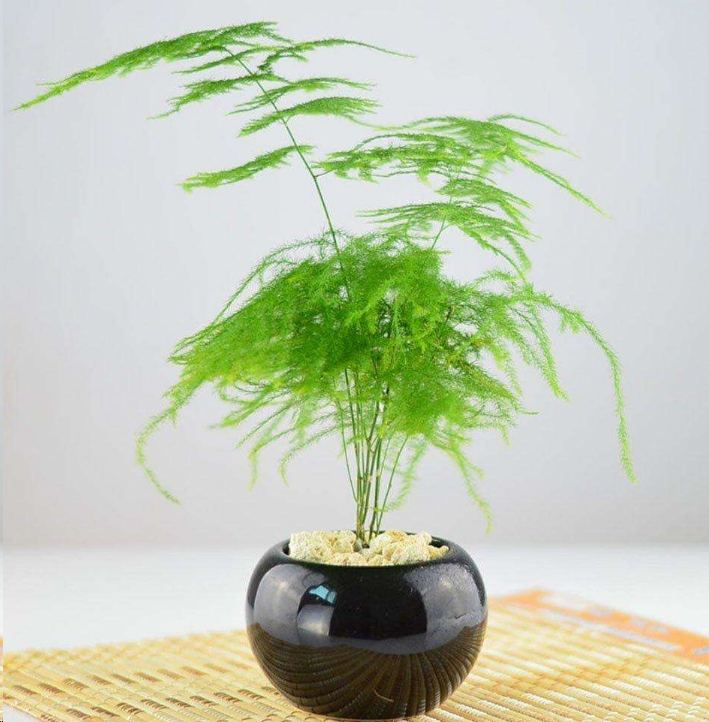人脈越廣,越要認清以下三種