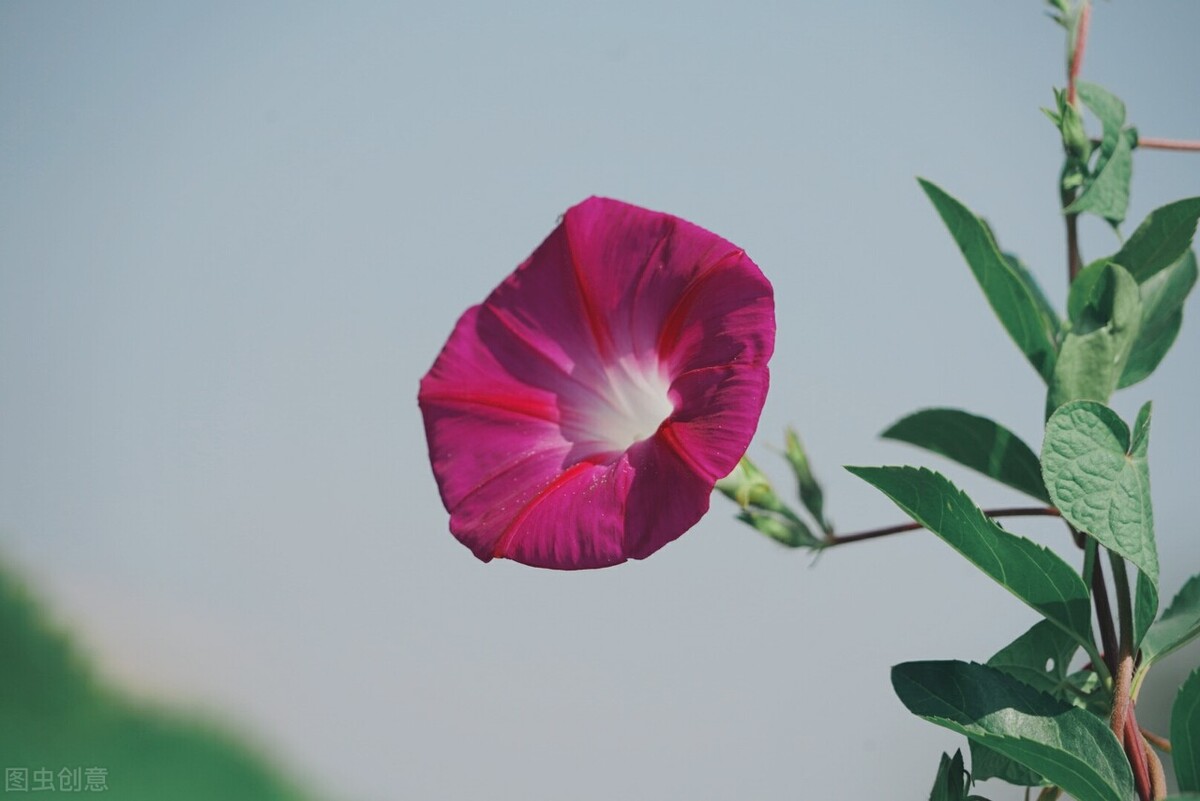 從沒記得，何來忘記