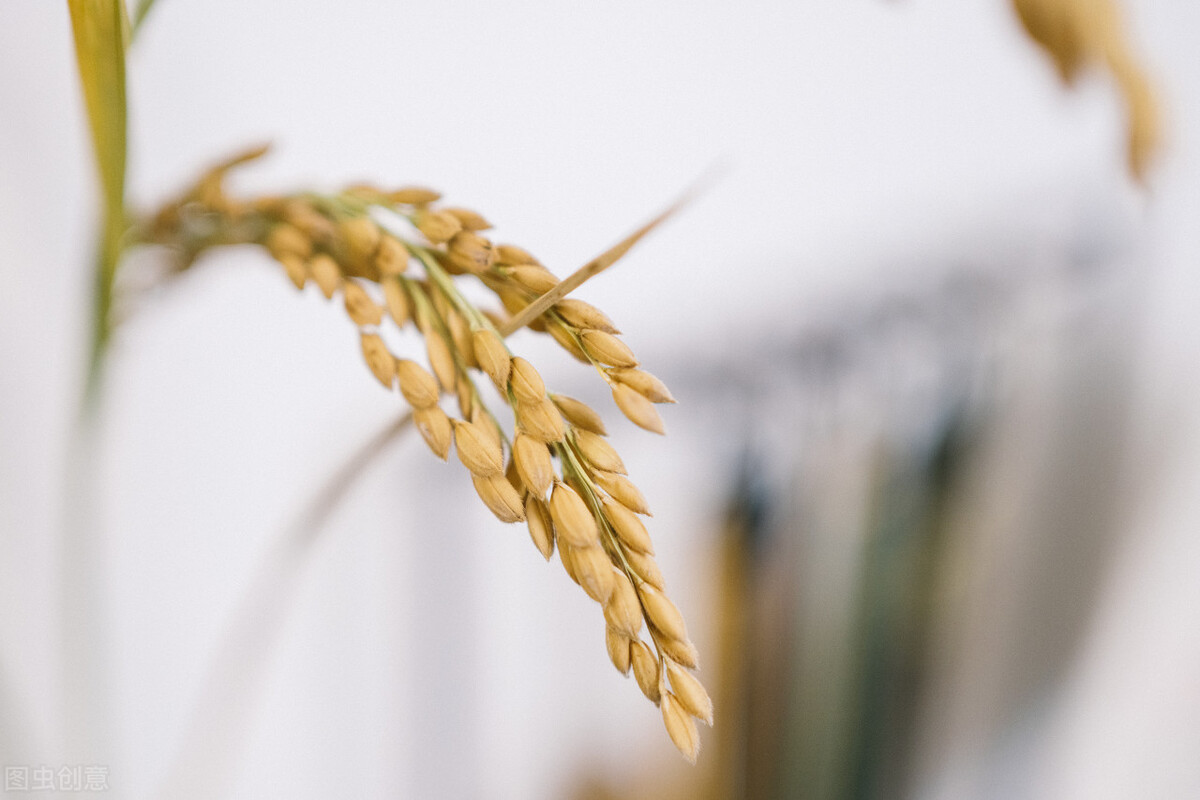 從沒記得,何來忘記