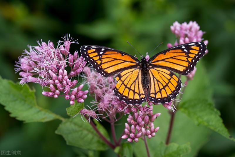 從沒記得,何來忘記