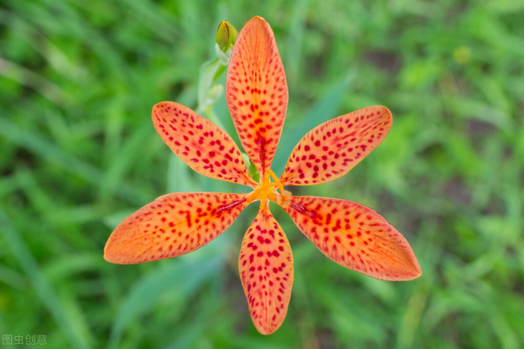 從沒記得,何來忘記