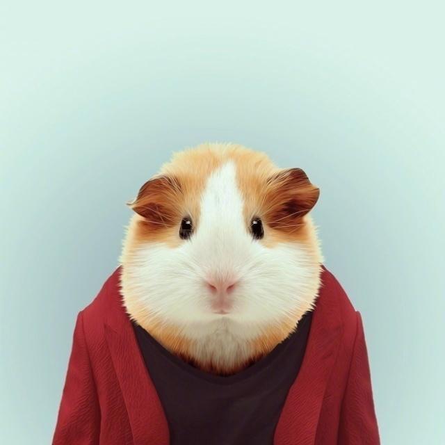 六月送給自己的雞湯語錄，一字千金，醍醐灌頂