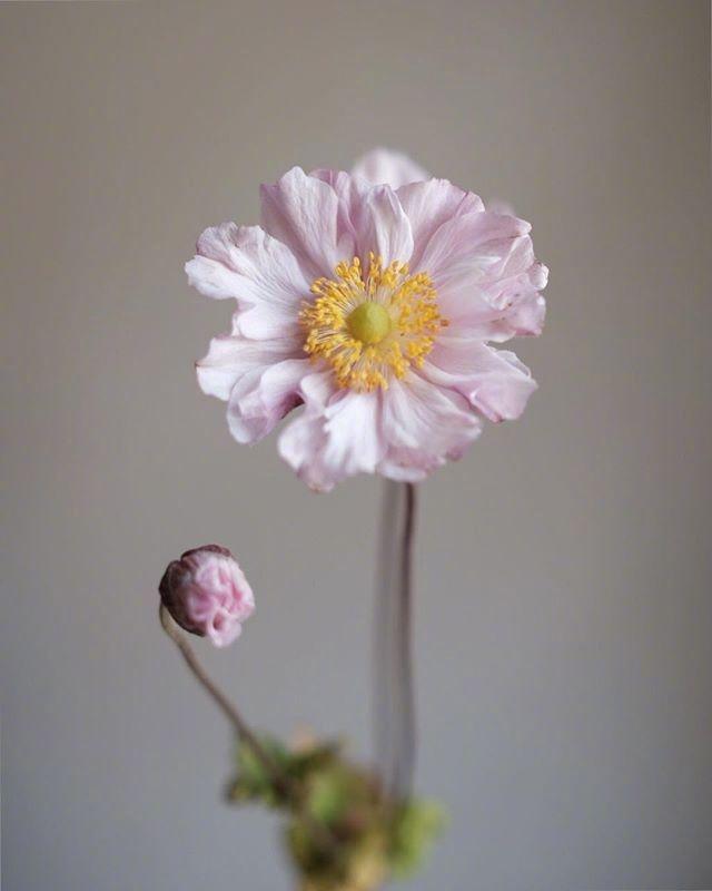 端午節網絡祝福語，經典溫馨，情意滿滿