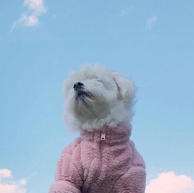 七月最舒服的早安說說，乾淨走心，越看越喜歡