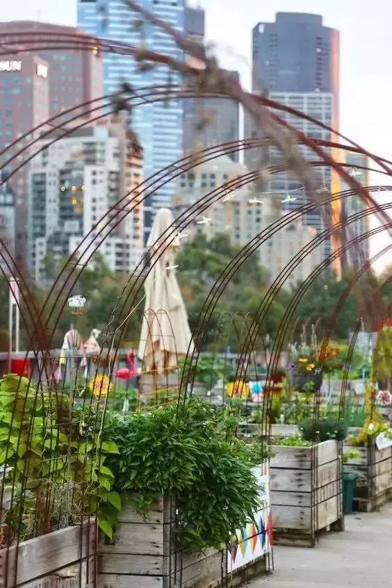 花園就是菜園，這才是種花的最高境界