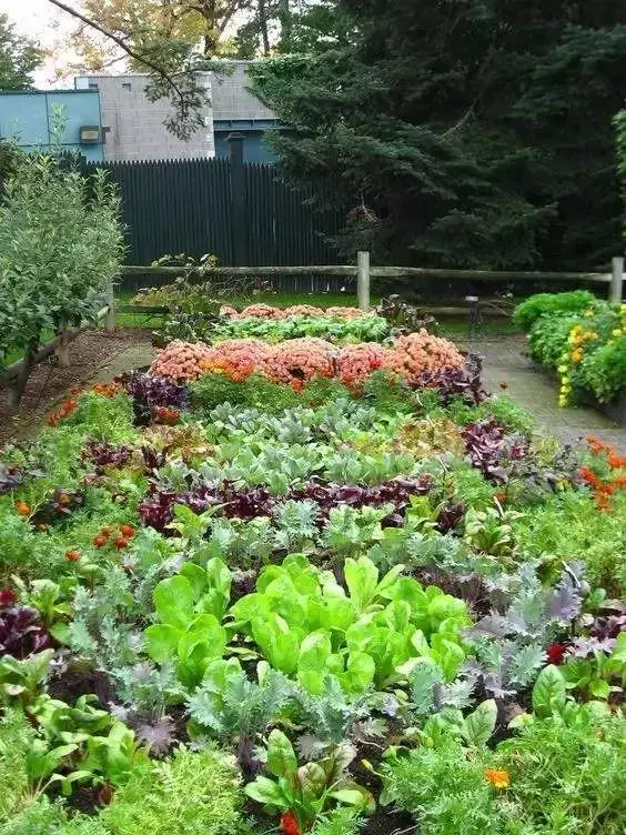 花園就是菜園，這才是種花的最高境界